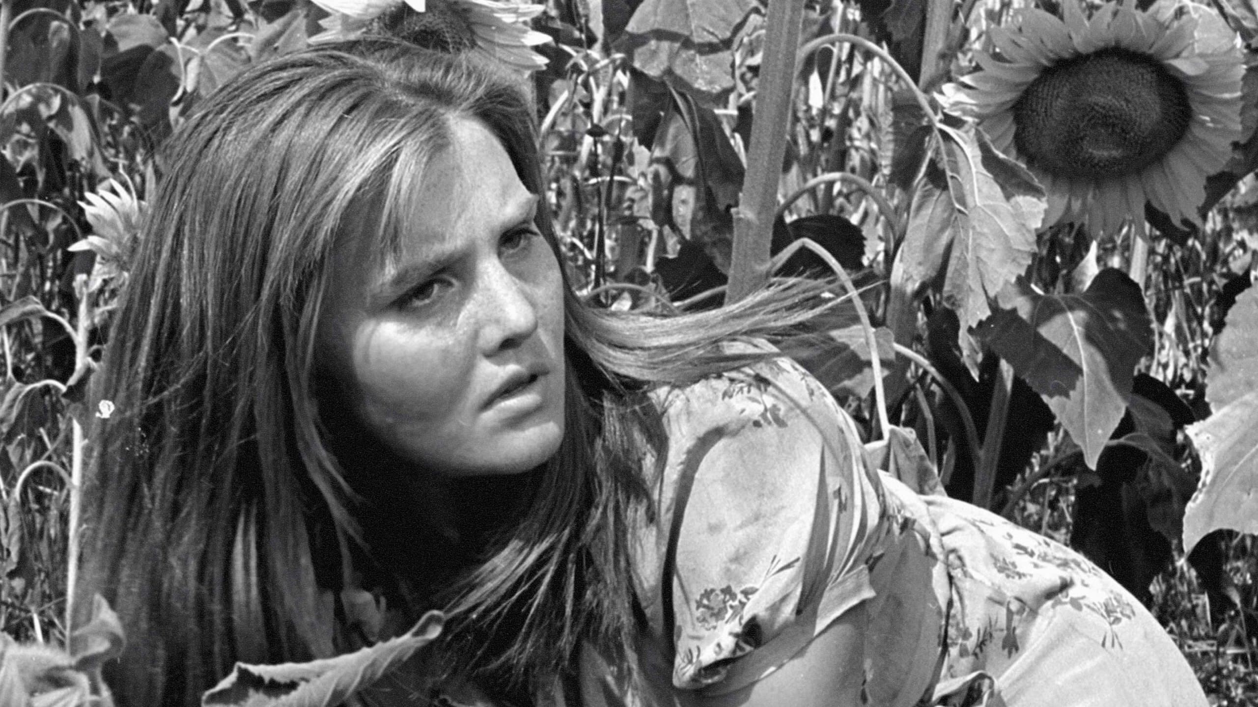 Tấn công và rút lui