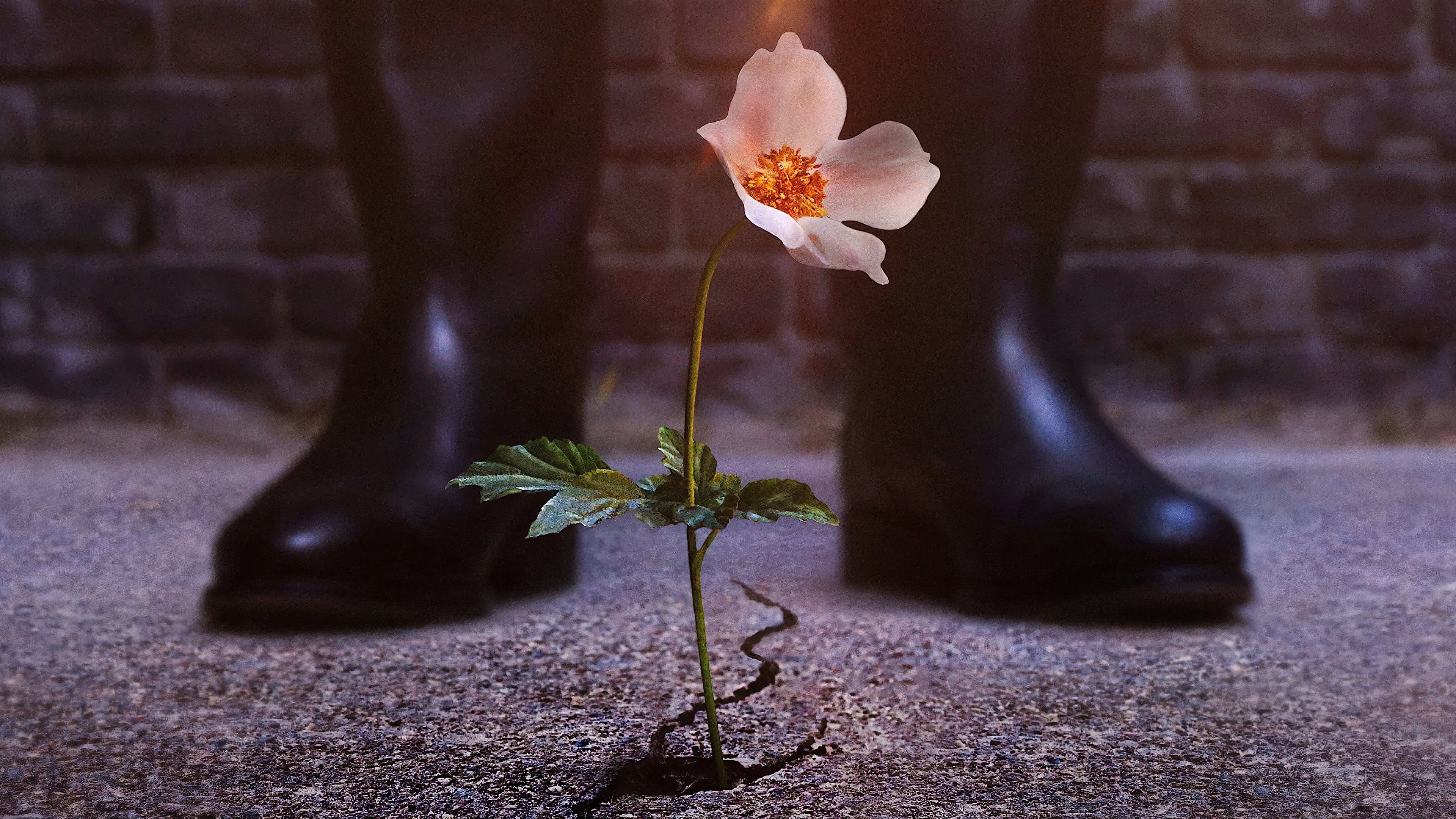 Thế Giới Của Phát Xít