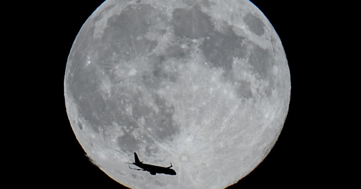 Tiệc Quái thú dưới ánh trăng